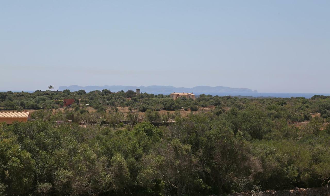 הוילה סס סלינס Finca Tiana מראה חיצוני תמונה